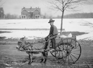 Early 1900s photo U.S. Army donkey & cart 