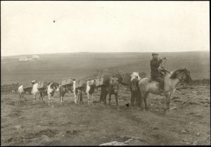 An Icelandic Mail Train, 1911 