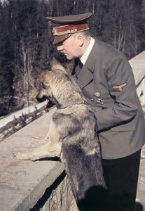 Adolf Hitler and his German Shepard Blondi on the balcony of The Berghof, May 1942 