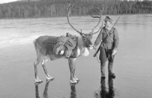 Soldier and Reindeer on Ice (1941)