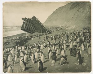 Wreck of the 'Gratitude', Macquarie Island, 1911 