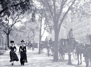 Cab stand in 1900 New York.