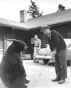 Crosby lines up a shot under the watchful eye of a bear in Jasper, 1947.