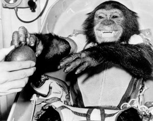 Ham the Chimp made it into space ahead of Soviet pioneer Yuri Gagarin.