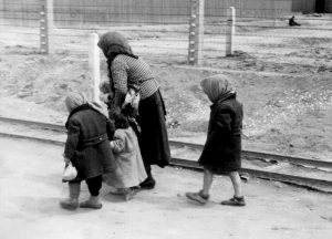 Traumatic Journey: Vulnerable Jews to Auschwitz.
