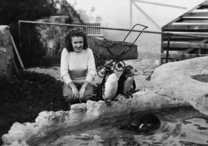 Norma Jeane (Marilyn Monroe) posed with penguins, 1943.