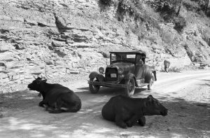 Kentucky mountain roads, Summer of 1940 by Marion Post Wolcott.