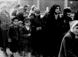 Horrors Captured: Walk to Auschwitz Gas Chambers