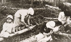 Pine-bark bread, Finnish survival food in 1918 Civil War.