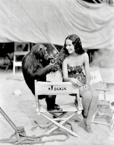 Dorothy Lamour with chimpanzee 